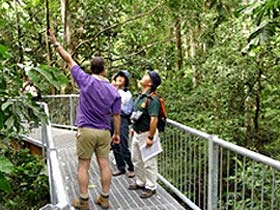 Daintree Discovery Centre - Accommodation Georgetown